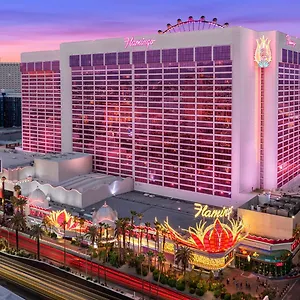 3* Rezort Flamingo Vegas & Casino